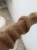 karmelowy-sweter-moherowy-kid-moher-2.webp