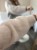 kardigan moherowy damski, kardigan kid moher, kardigan moherowy taupe, luźny kardigan na jesień do jeansów, kardigan oversize z moheru, puszysty kardigan moherowy, kardigan premium z moheru, kardigan zapinany na guziki, kardigan rozpinany
